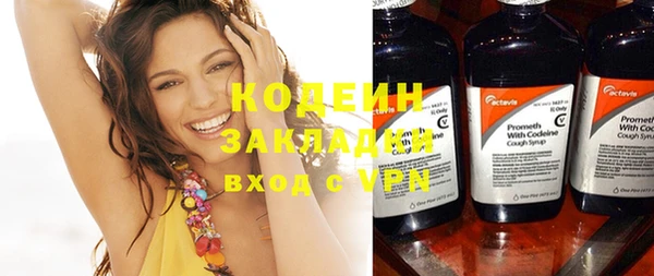 дмт Дмитров