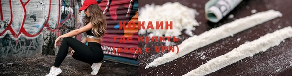 дмт Дмитров