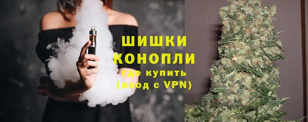 дмт Дмитров