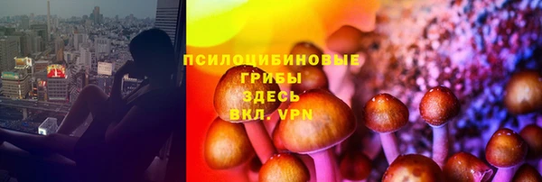 дмт Дмитров