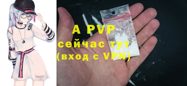 дмт Дмитров