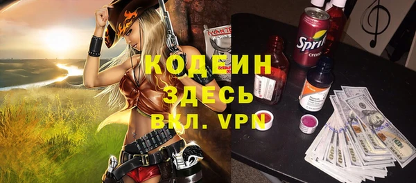 дмт Дмитров