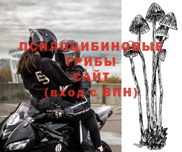 дмт Дмитров