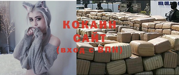 винт Дмитриев