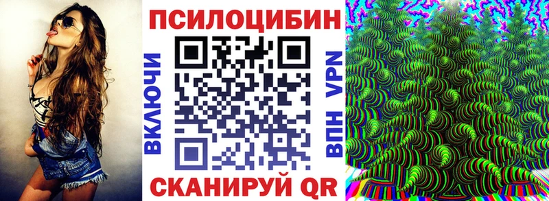 Псилоцибиновые грибы Psilocybe  Купить  Шахунья 