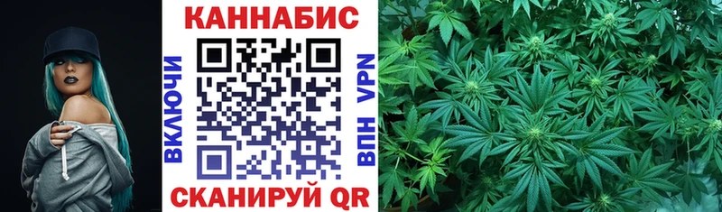 Купить закладки  Шахунья  Марихуана гибрид 